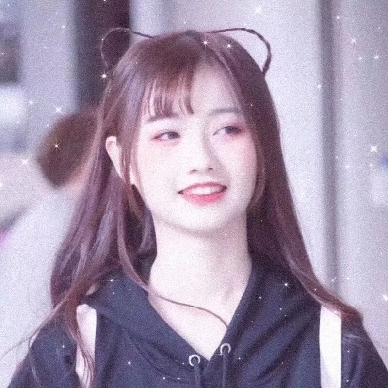 消失的大象